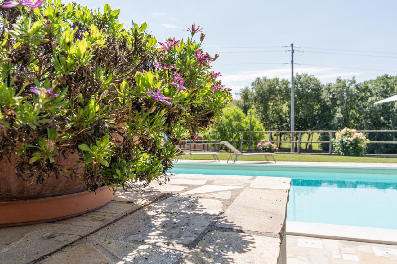 Montenovo Country House Ostra Vetere Bagian luar foto