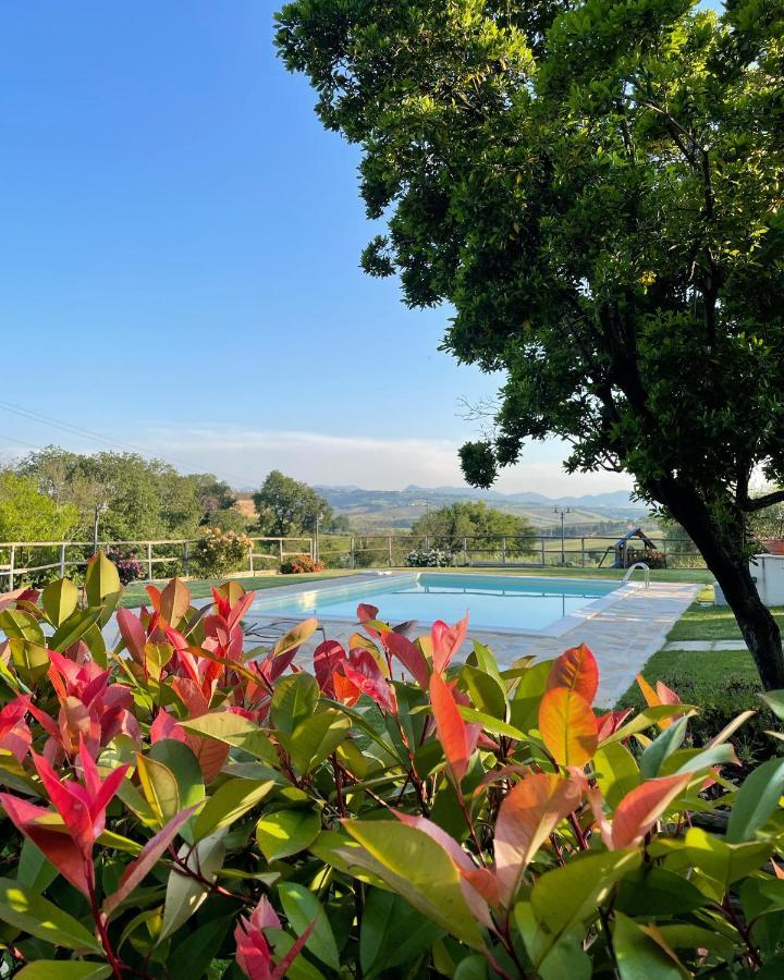 Montenovo Country House Ostra Vetere Bagian luar foto