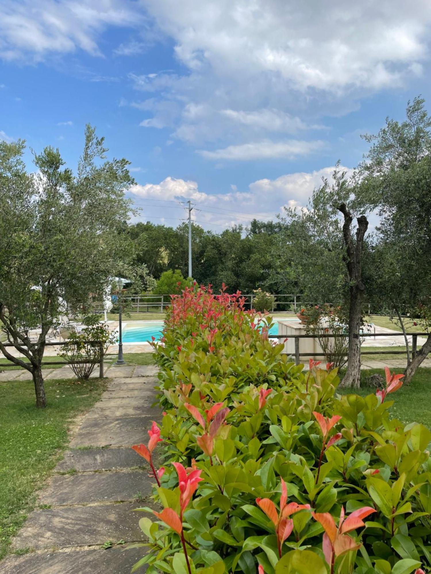 Montenovo Country House Ostra Vetere Bagian luar foto