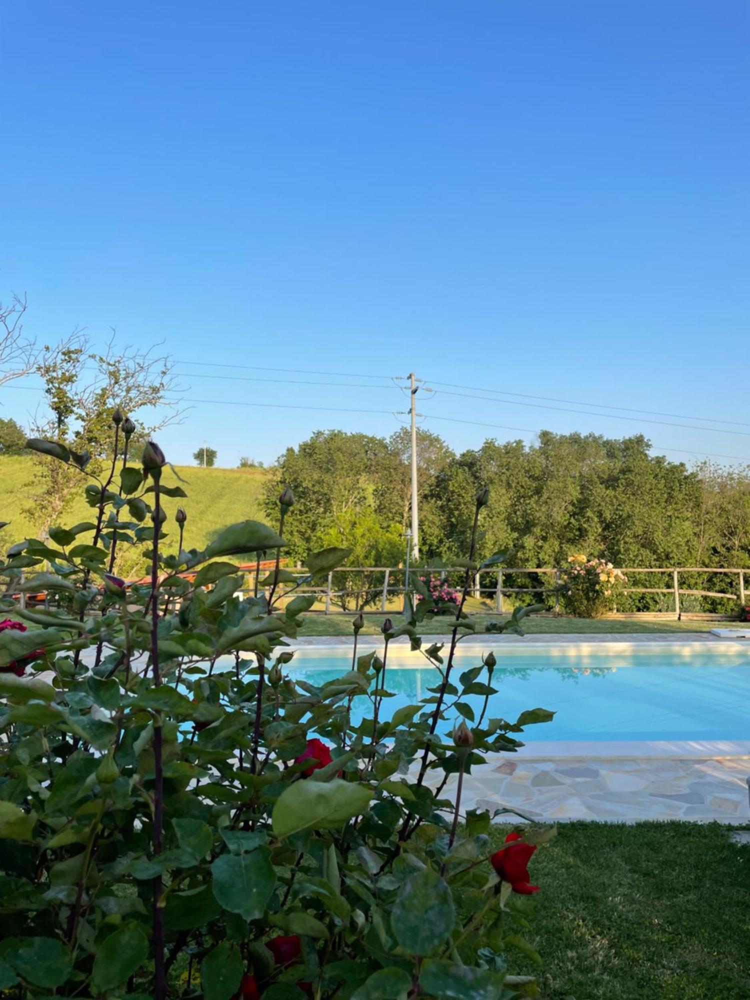 Montenovo Country House Ostra Vetere Bagian luar foto