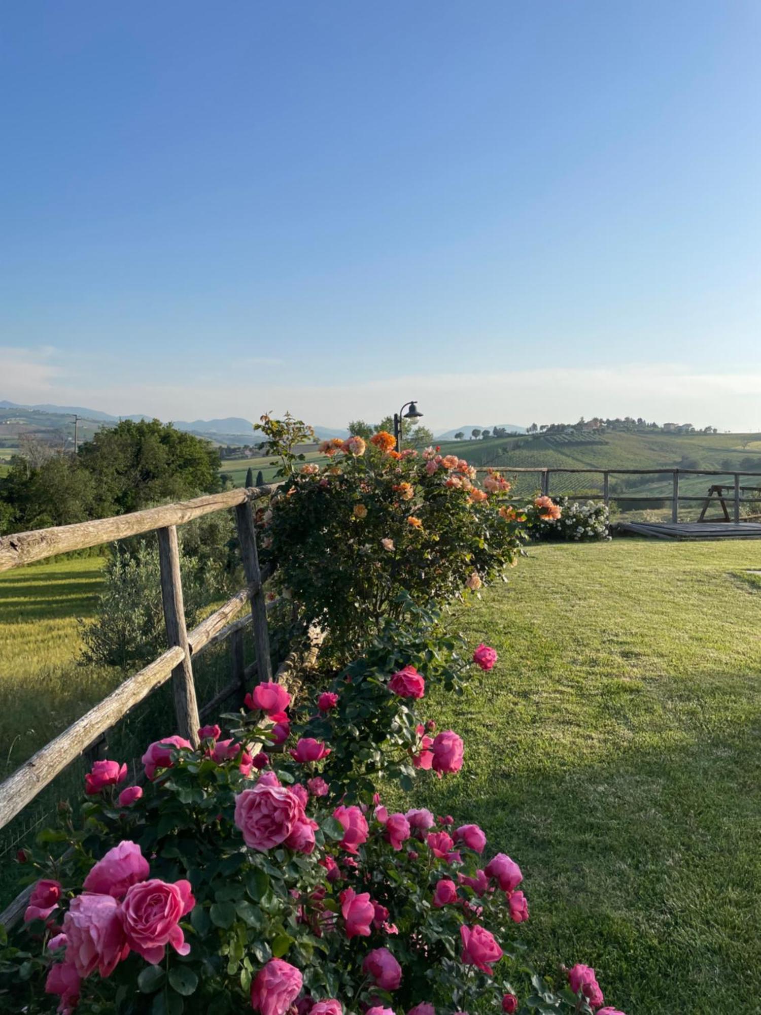 Montenovo Country House Ostra Vetere Bagian luar foto